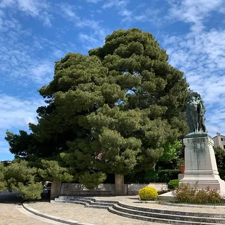 Clara Luna Turistico * Osimo